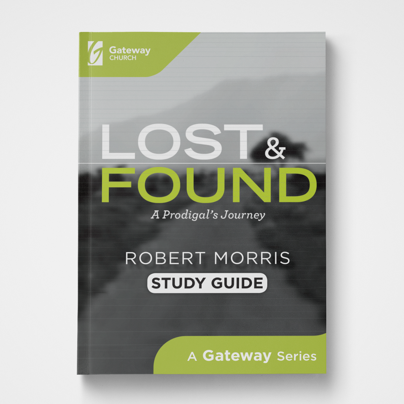 Lost and Found Study Guide